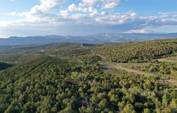 TBD 56 1/2 Road, Collbran, CO 81624