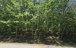 0 Bankston, The Rock, GA 30285