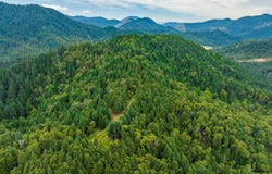 1251 Warner Road, Wolf Creek, OR 97497