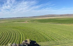 60646 Anderson Valley Rd, Princeton, OR 97721