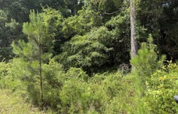 Norway Road, Orangeburg, SC 29115