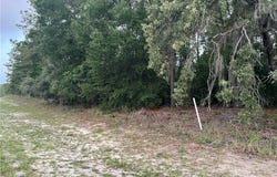 9553 N Travis Drive, Citrus Springs, FL 34434