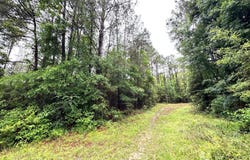 Emerald State Line Road, Magnolia, MS 39652