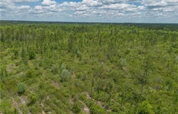 0 Collins Road, Other, GA 31554