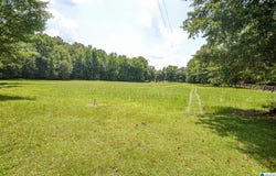 1540 PEPPER ROAD, ASHLAND, AL 36251
