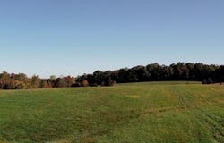 TRACT 2 Roy Road, Eastview, KY 42732