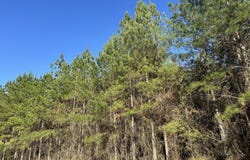 0018 Barnes, Gordon, AL 36343