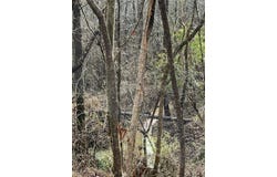 0 Greenville Highway, Lyman, SC 29365