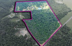 1142 Co Rd 146, Flat Rock, AL 35966