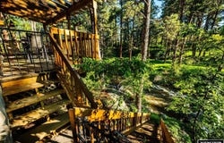 43 Fish Hatchery Road, Story, WY 82842