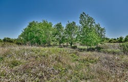 TBD Gebert Road, Muldoon, TX 78949