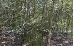 TBD Parkwood Avenue, North, SC 29112