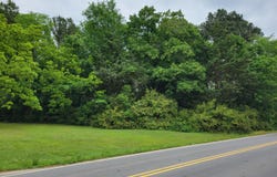 Tbd E Third Street, Siler City, NC 27344