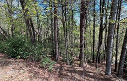 Lt699 Choctaw Drive, Ellijay, GA 30540