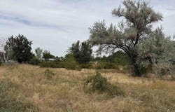Hunt Ave., Nampa, ID 83651