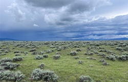 Tract 35 Monte Drive, Wisdom, MT 59761