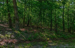 Lot 1169,1143 Elliott Place, Edwards, MO 65329