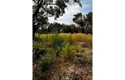 11100 Fifth ST, Jonestown, TX 78645
