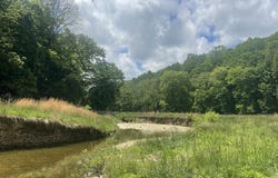 61 Acres JW Harris Road, Russell Springs, KY 42642