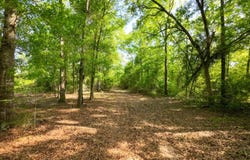 Tbd Nearing Hills Circle, Chipley, FL 32428