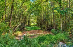 6218 Boydton Plank Road, Dinwiddie, VA 23803