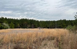 DOVER BRIDGE ROAD, PRESTON, MD 21655