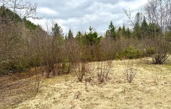 2 Acres ST LOUIS RD, Phelps, WI 54554