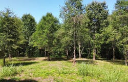 Henshaw Road, Bismarck, AR 71929