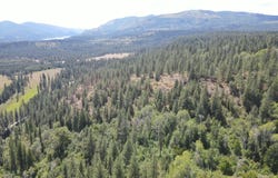 1 TBD MITCHELL RD, NORTHPORT, WA 99157