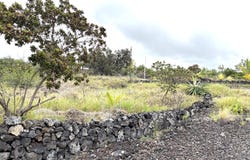 88-1484 AWAPUHI PL, Captain Cook, HI 96704