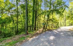 Lot 27 Sugar Maple Loop Road, Sevierville, TN 37862