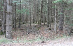 Lot 4 CTH J, Mercer, WI 54547
