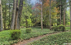 40 Oleson Drive, Southbury, CT 06488