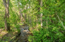 185 Elk Creek Road N, Wilsall, MT 59086