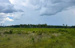 T-3 Kelley Rd, Trout, LA 71371