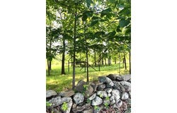 194 River Road, Walden, NY 12586