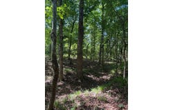 00 County Road 83, McCarley, MS 38943