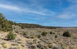 TL 801 Hines Logging Road, Hines, OR 97738