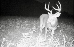 000 State Route 295 North, Kuttawa, KY 42055