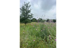 Lot 442 E Pauwela LN, Bastrop, TX 78602