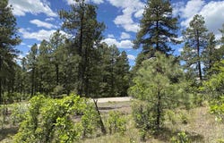 124 Granada Drive, Pagosa Springs, CO 81147