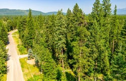 595 Wapiti Lane, Bigfork, MT 59911