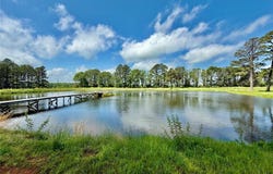 19755 Wildwood Drive, Raymondville, MO 65555