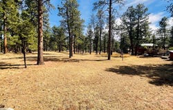 Stonewall, CO 81091