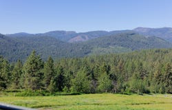 360 BARNABY CREEK RD, INCHELIUM, WA 99138