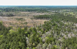 Highway 53, Perkinston, MS 39573