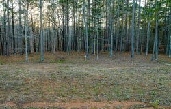 Stately Oak Dr lot: 5, Huntingdon, TN 38344