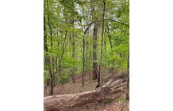 319 Zenith Trail, Ellijay, GA 30540