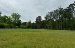 2331 Hollonville Road, Brooks, GA 30205