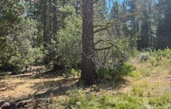 002 Ash Valley, Adin, CA 96006